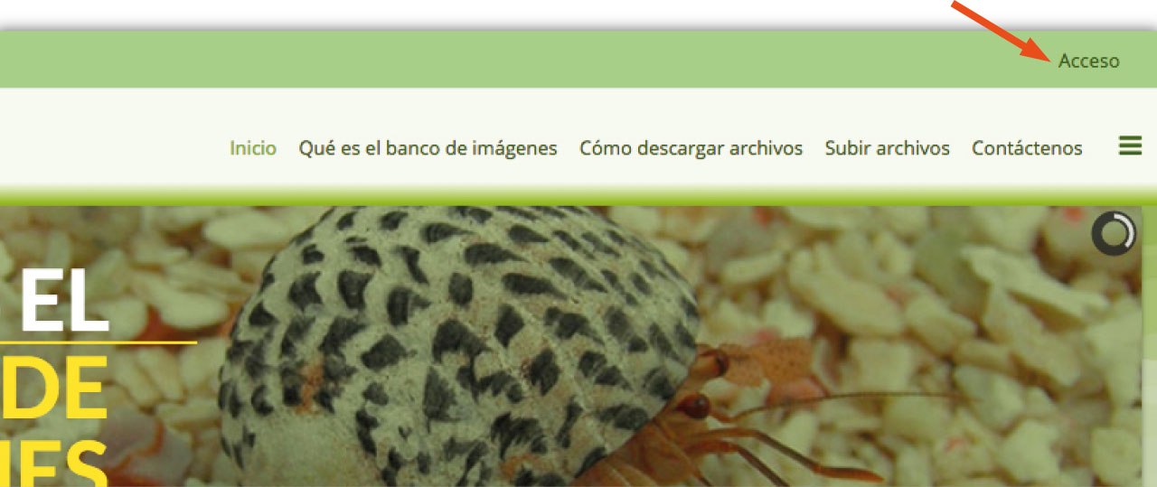 paso1_descarga_banco