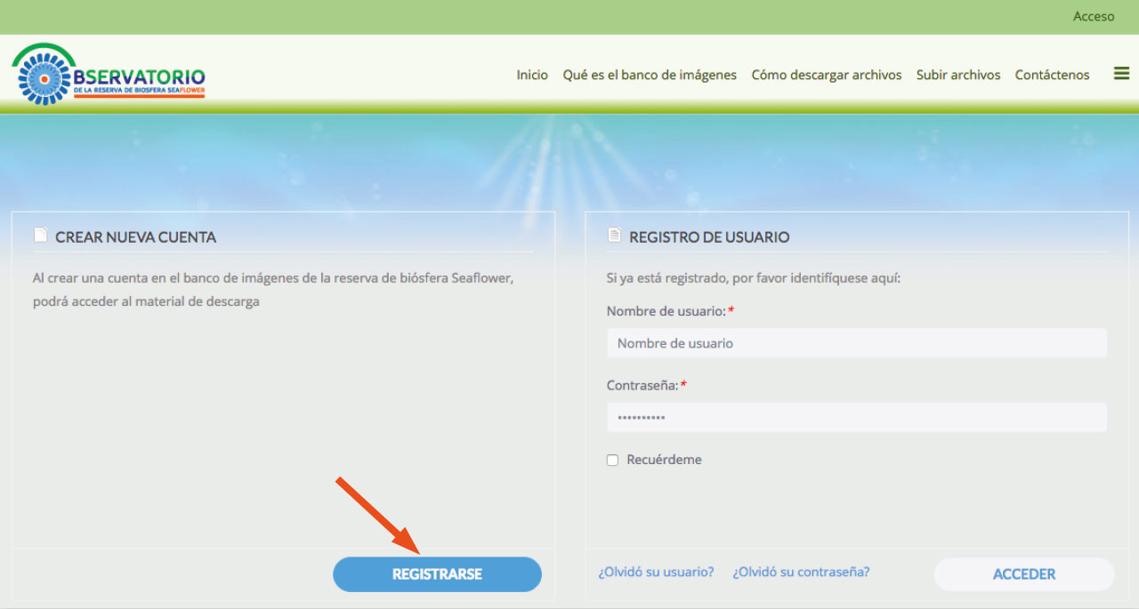 paso2_descarga_banco