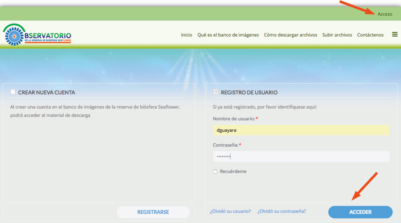 paso6_descarga_banco