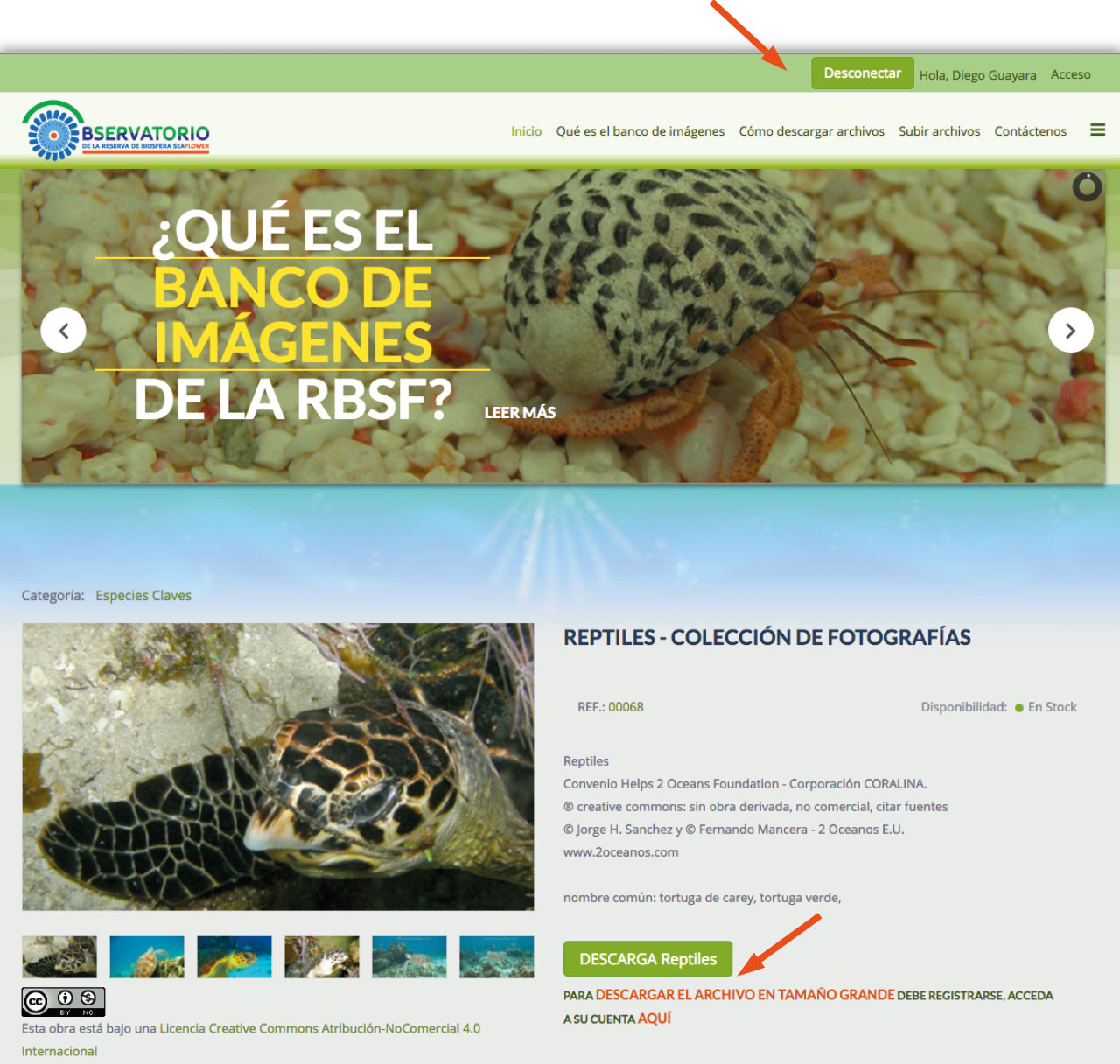 paso8_descarga_banco