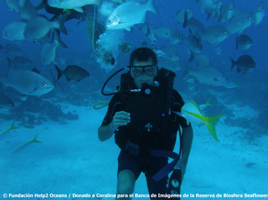 Buceo_peces_San-Andres-islas
