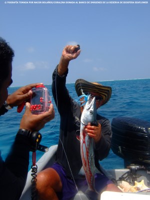 Pesca