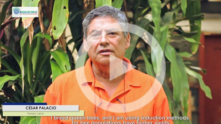 Stiil_frame_Biocomercio(2)-21