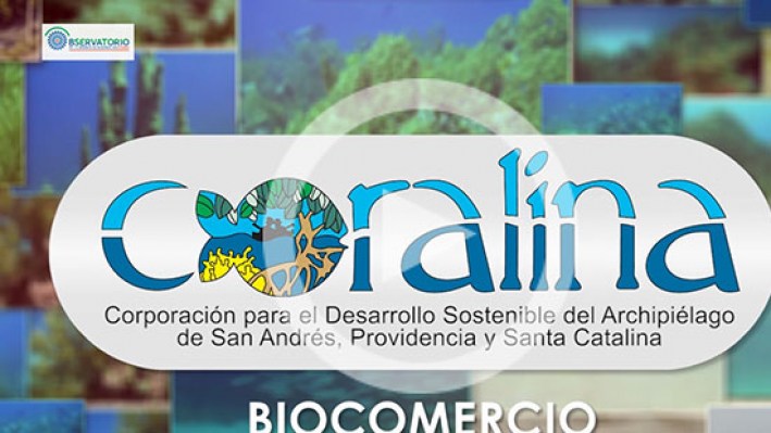 Still_Frame_Biocomercio-2
