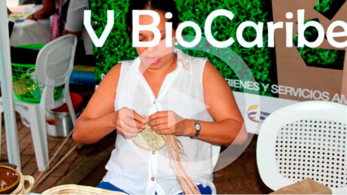 vid_comercial_biocab_17_prev_2