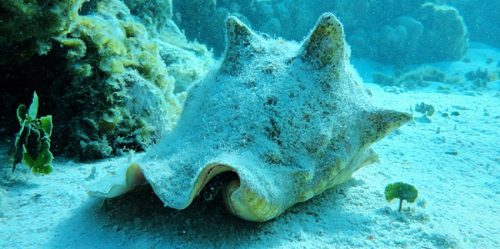 59b514757c03f4e14c006ca63de02928_L