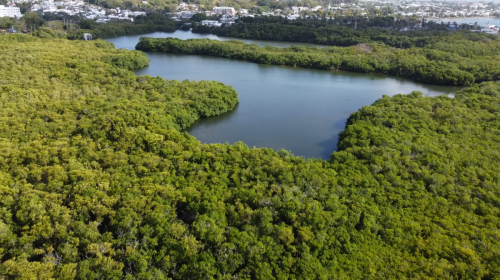 Screenshot 2024-10-13 at 4.19.51 PM